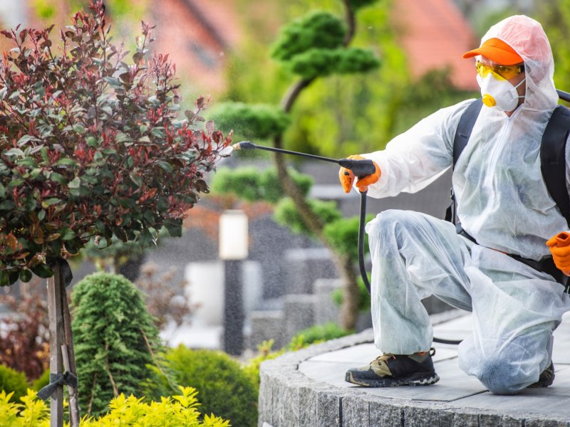 Serik Haşere İlaçlama